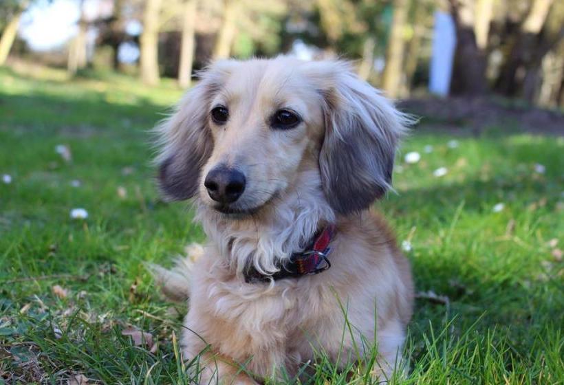 ペンション 371 @ Mas De La Prade