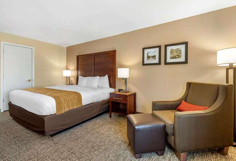 Hotel Comfort Inn Lafayette I65