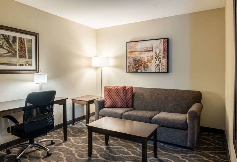 בית מלון כפרי Country Inn & Suites By Radisson, Grandvillegrand Rapids West, Mi