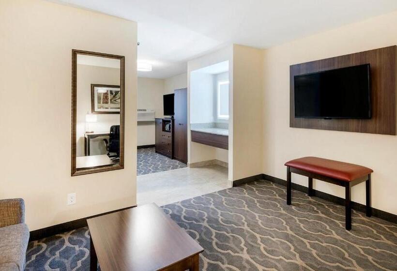 בית מלון כפרי Country Inn & Suites By Radisson, Grandvillegrand Rapids West, Mi