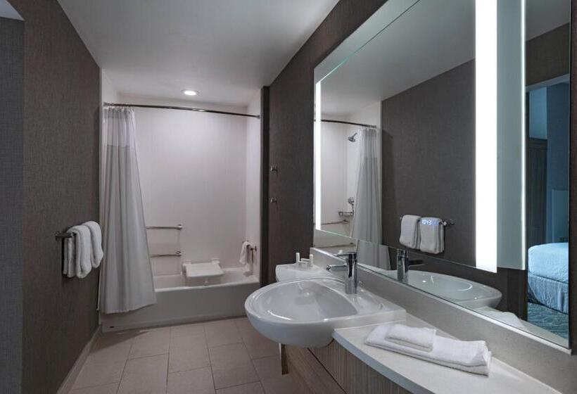هتل Springhill Suites Waco