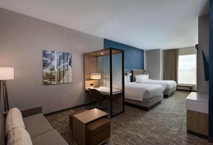 هتل Springhill Suites Waco