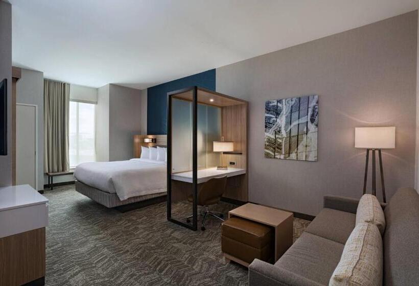 هتل Springhill Suites Waco