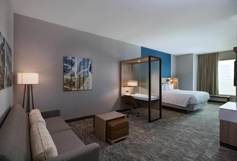هتل Springhill Suites Waco