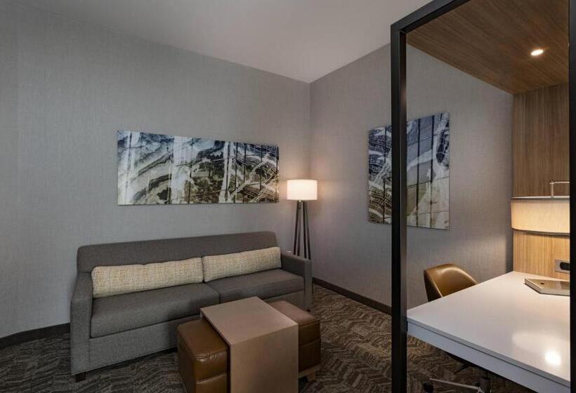 هتل Springhill Suites Waco