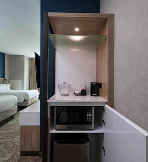 هتل Springhill Suites Waco