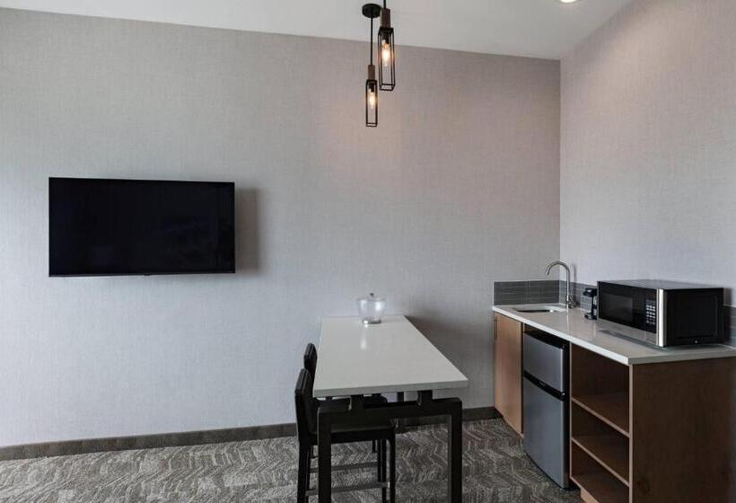 هتل Springhill Suites Waco
