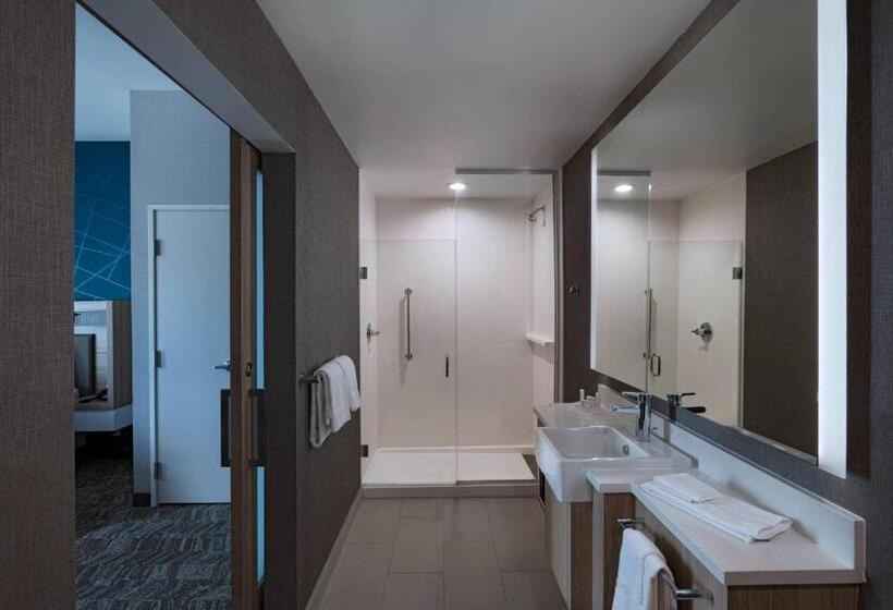 هتل Springhill Suites Waco