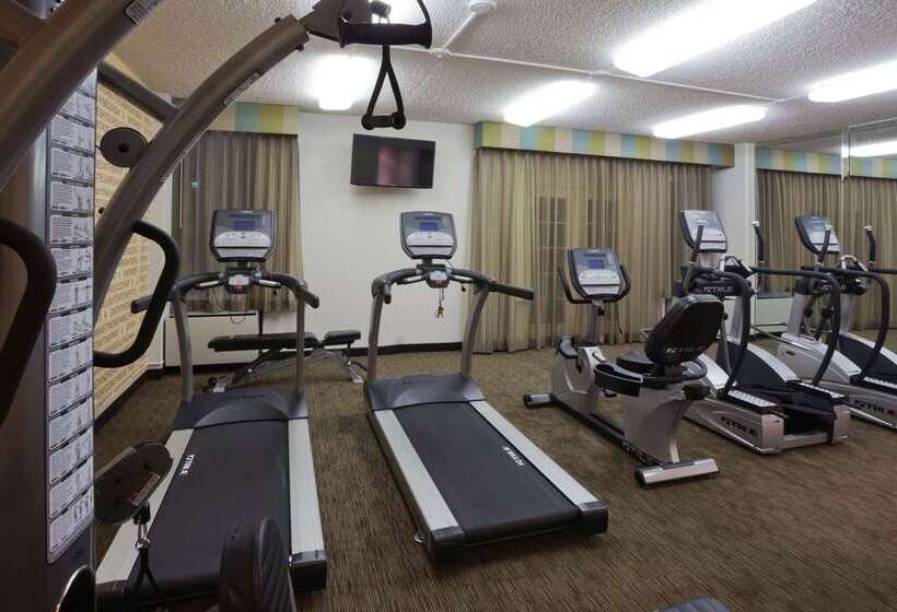 בית מלון כפרי La Quinta By Wyndham Houston Stafford Sugarland