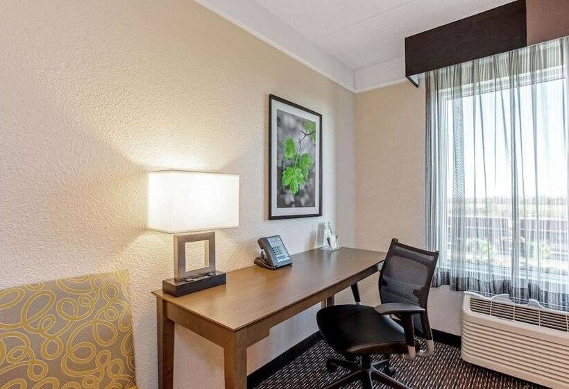 Hotel La Quinta Inn & Suites By Wyndham Panama City