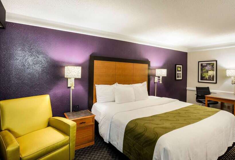 هتل Quality Inn & Suites North Charleston  Ashley Phosphate