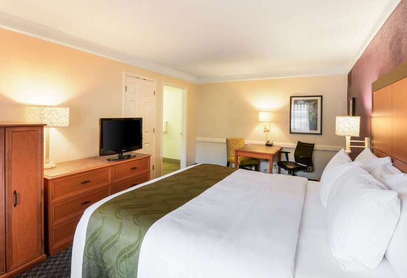 هتل Quality Inn & Suites North Charleston  Ashley Phosphate