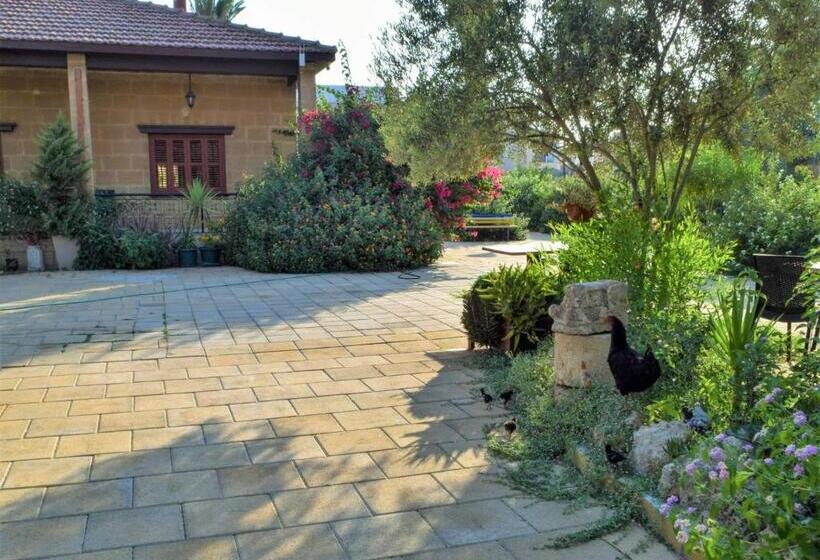 پانسیون Golden Palms Guest House & Cafe