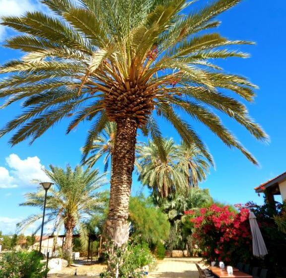 پانسیون Golden Palms Guest House & Cafe