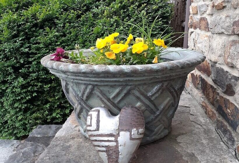 ユースホステル Laughing Heart Lodge