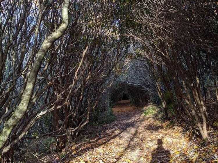 ユースホステル Laughing Heart Lodge