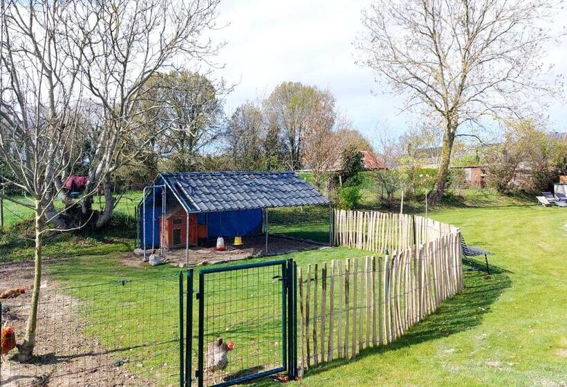 ベッドアンドブレックファースト Chambres D Hôtes Chez L Habitant   Bed& Breakfast Homestay