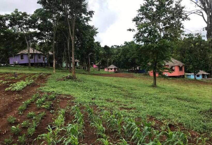 هتل Gibbon Lodge