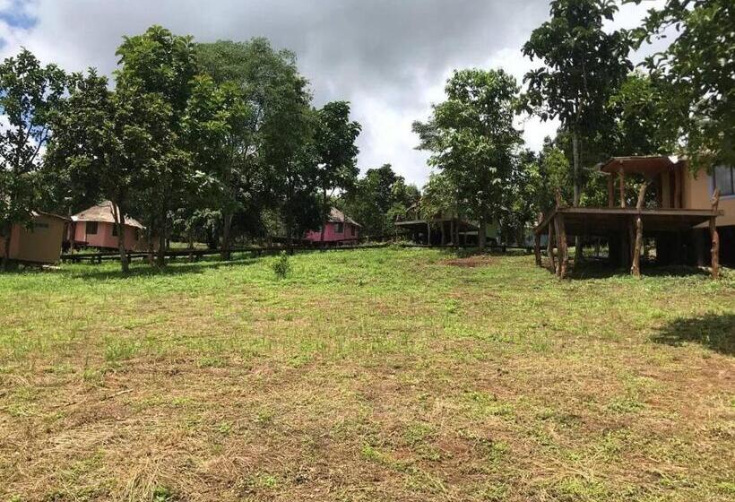هتل Gibbon Lodge