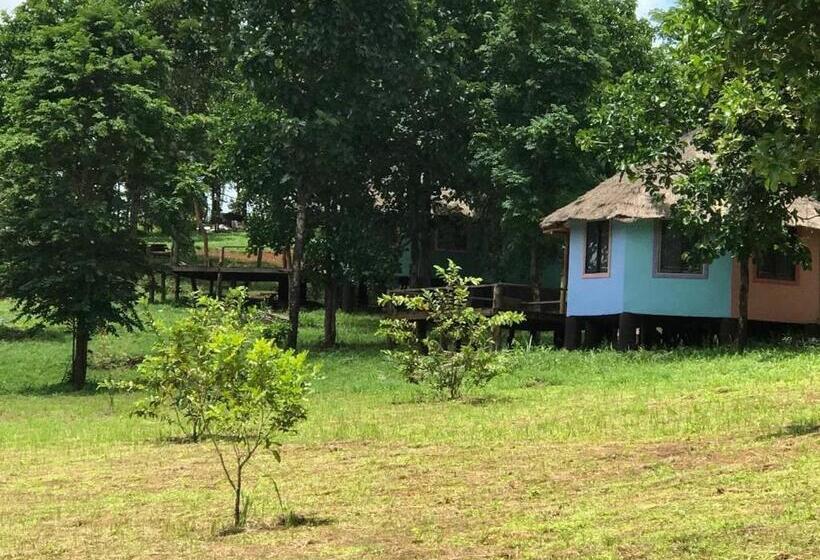 هتل Gibbon Lodge