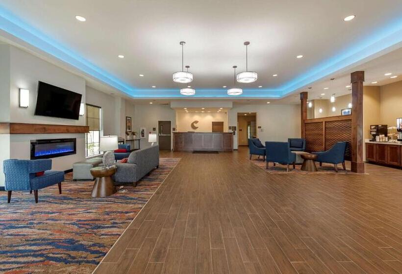 فندق Comfort Suites