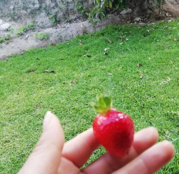 هتل Quilla Wasi