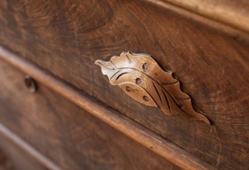 旅馆 White Springs Manor A Belhurst Property