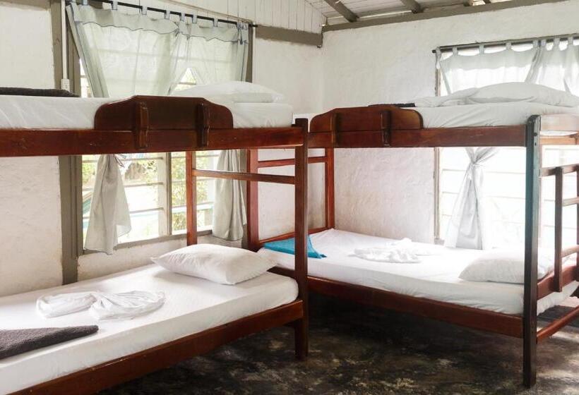 هتل Cabañas Los Almendros