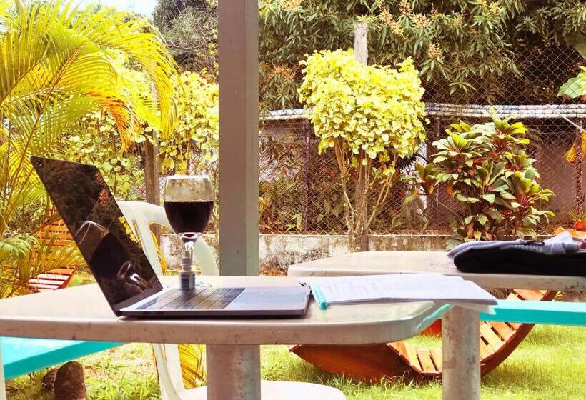 هتل Cabañas Los Almendros