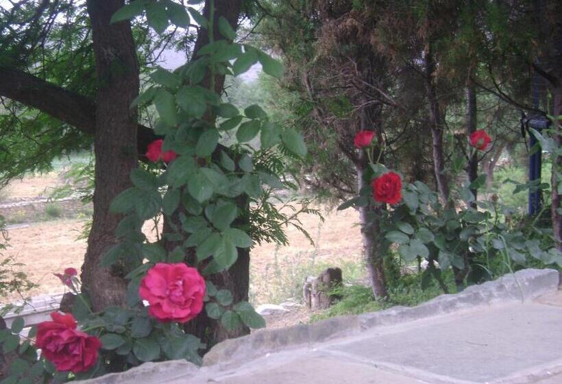 هتل La Pasarela