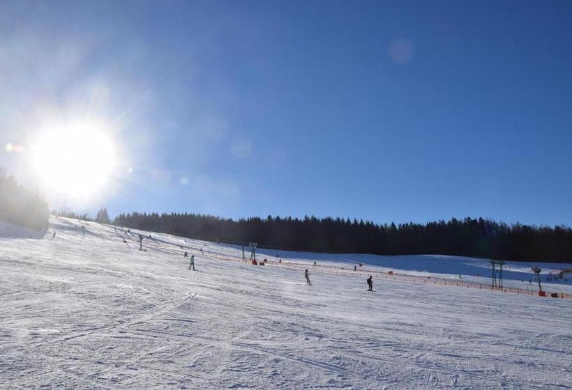 ペンション Alpengasthof Eichtbauer