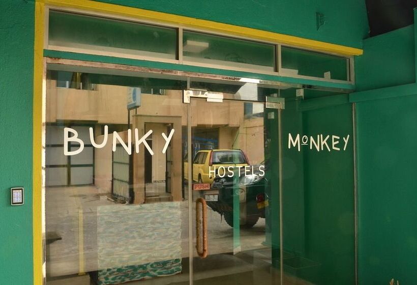 Bunky Monkey   Hostel