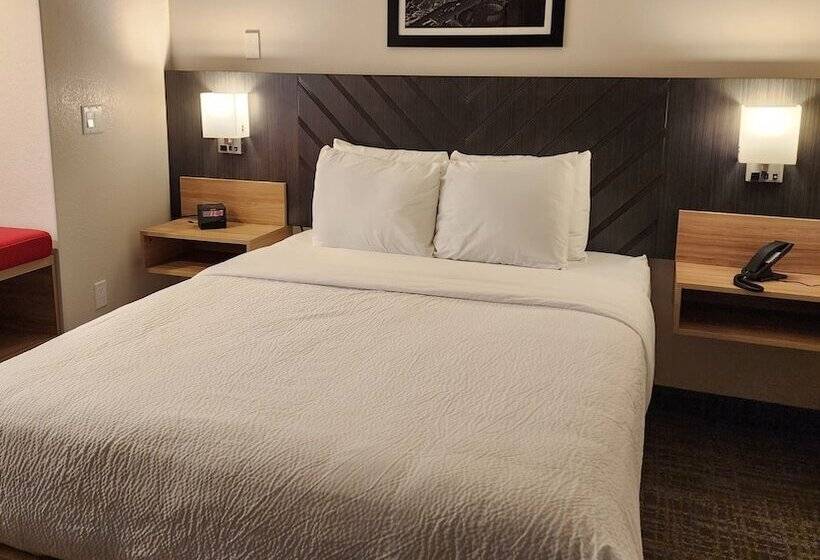 فندق Best Western Buffalo Inn & Suites