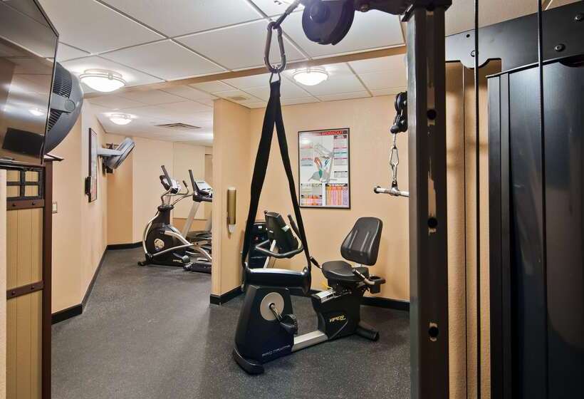 هتل Best Western Plus Peak Vista Inn & Suites
