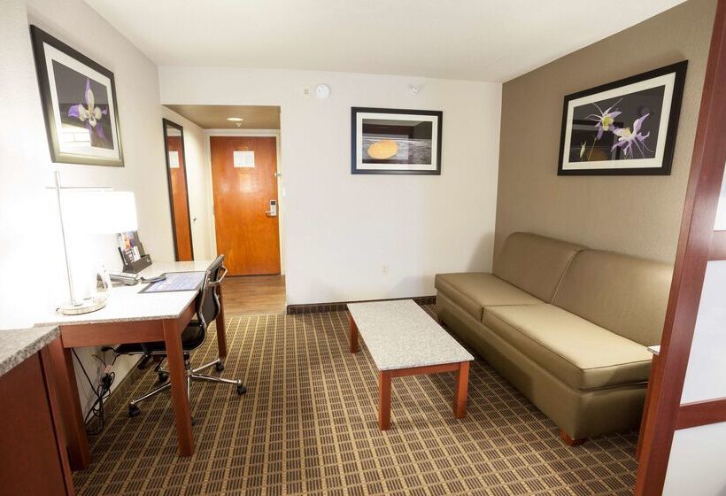 هتل Best Western Plus Peak Vista Inn & Suites