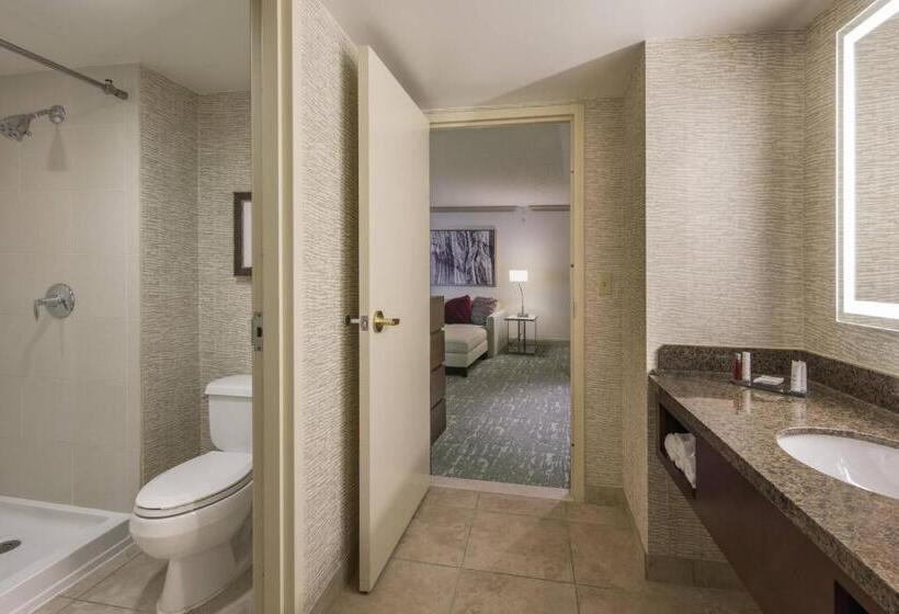 هتل Denver Airport Marriott At Gateway Park