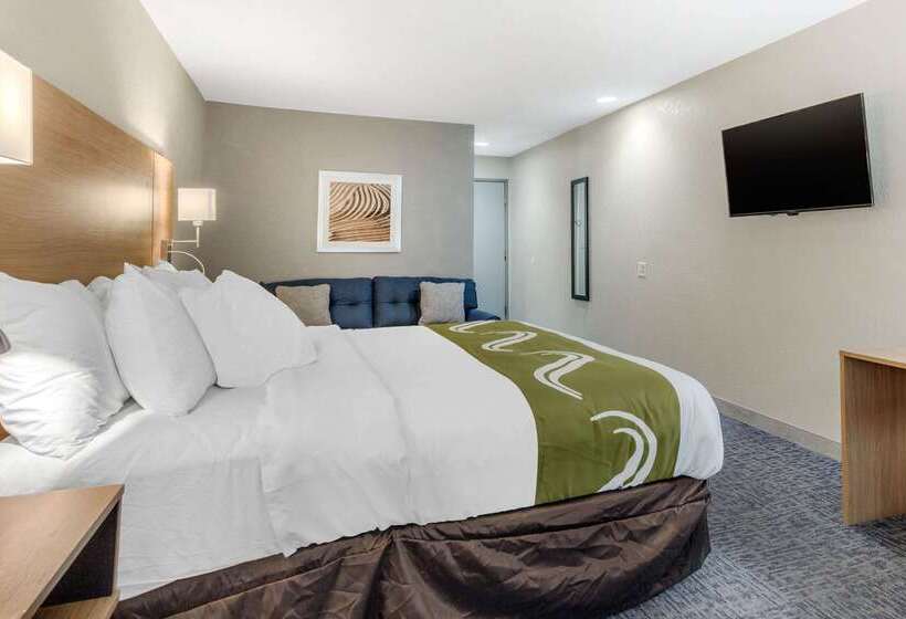هتل Quality Inn Downtown Near Market Square
