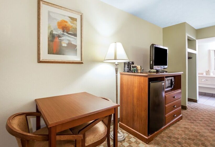 هتل Quality Inn & Suites At Dollywood Lane