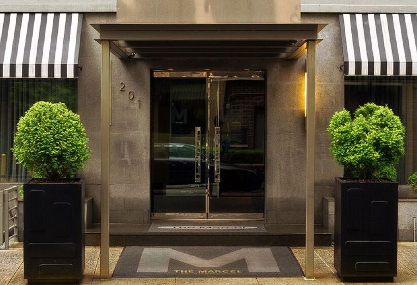 Fotos del hotel The Marcel at Gramercy:  8