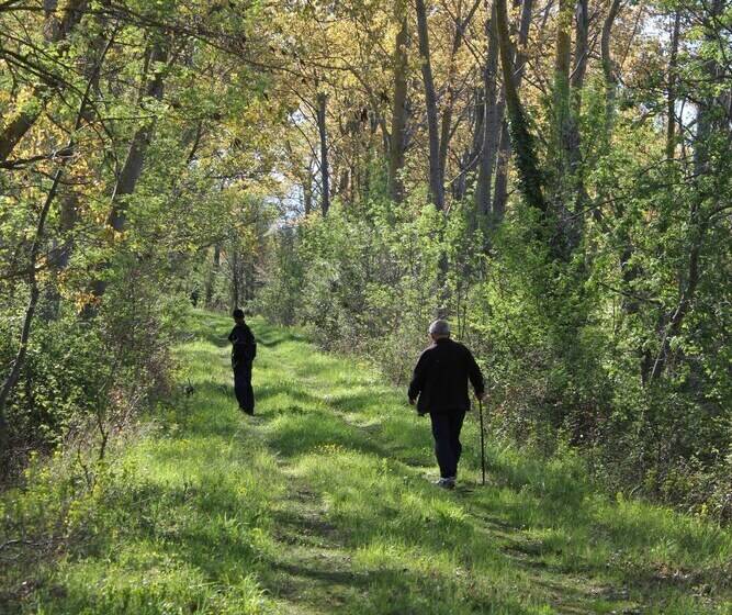 ベッドアンドブレックファースト L Albane Chambres D Hotes