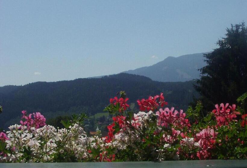 Pension & Apartments Ertl
