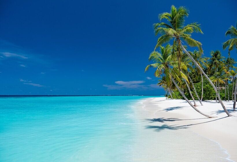 هتل Baglioni Resort Maldives Luxury All Inclusive   Lhw