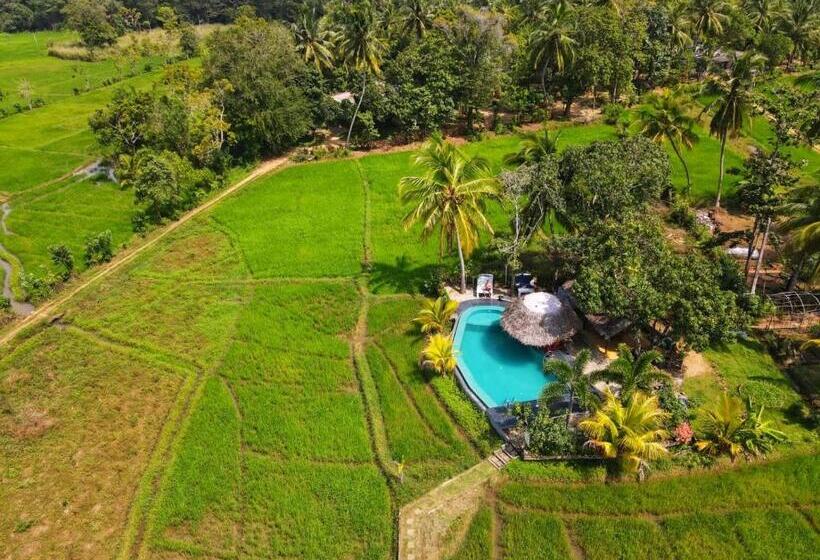پانسیون Nelu Villa Sigiriya
