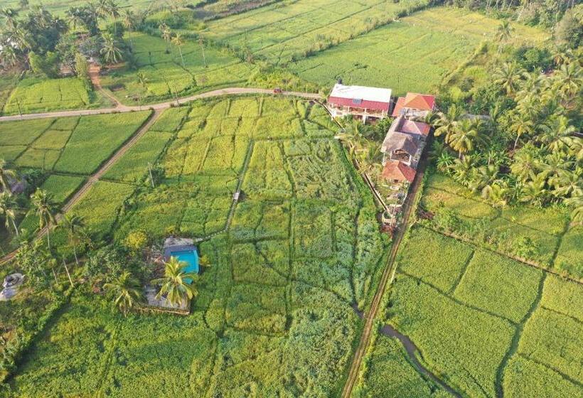 پانسیون Nelu Villa Sigiriya