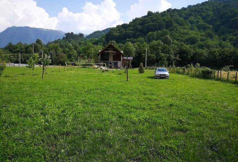 Exo Log Cottage