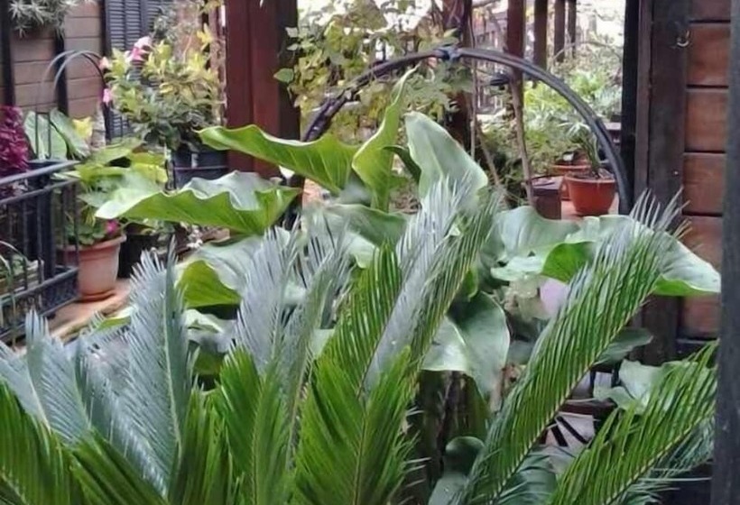 مبيت وإفطار Cabañas Valle Verde