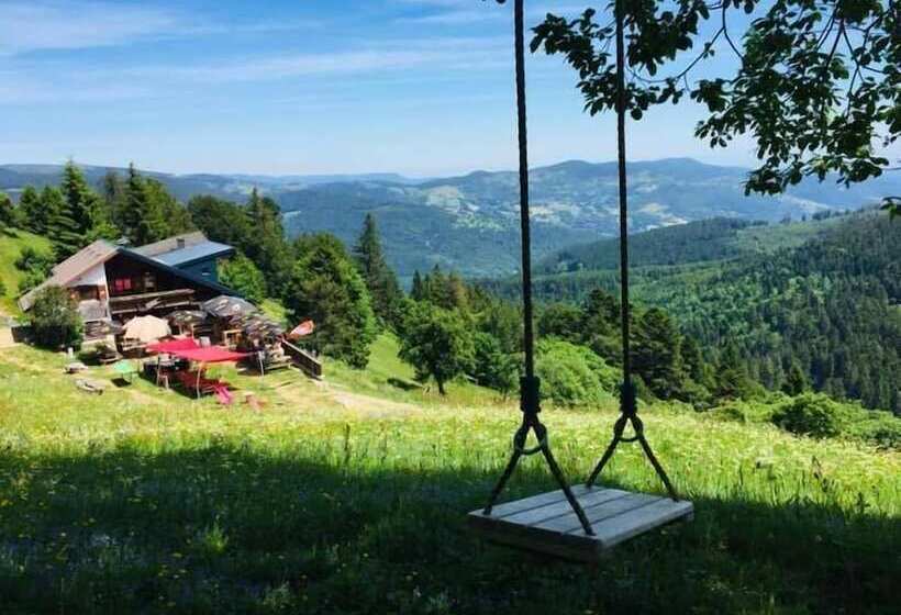 住宿加早餐  Le Schallern   Chambres & Table D Hotes