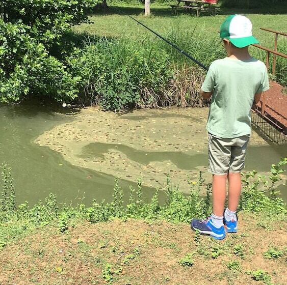 צימר Un Chemin En Quercy