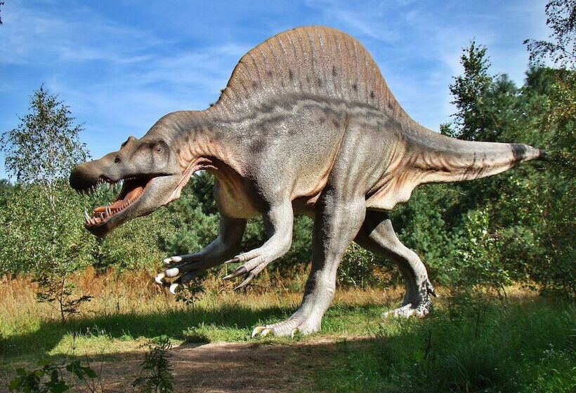 فندق فئة نجمة واحدة La Barbacana