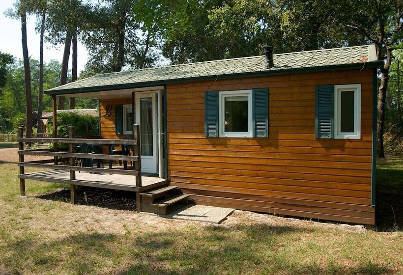 호텔 Camping Le Pin